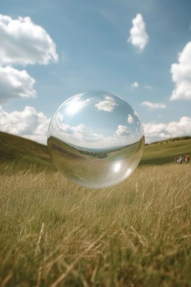 A single dew-covered sphere resting in a sunlit meadow
